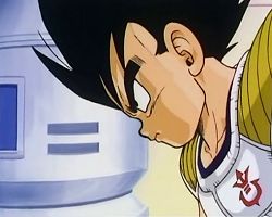 petit vegeta